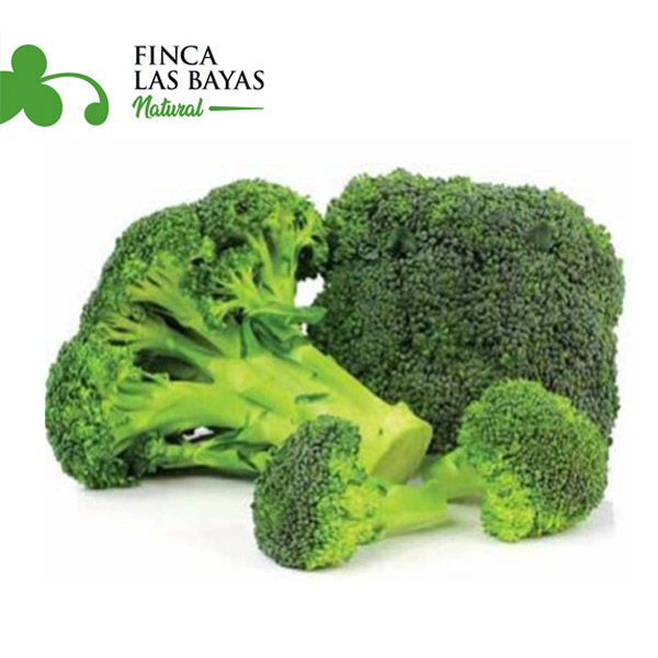 Brócoli Congelado FINCA LAS BAYAS 1000g
