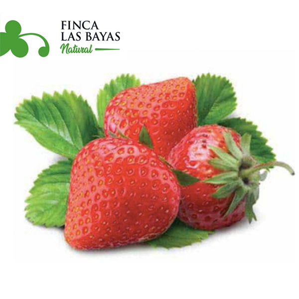 Frutillas Baby FINCA LAS BAYAS 1000g