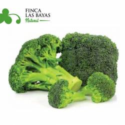 Brócoli Congelado FINCA LAS BAYAS 1000g