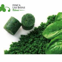 Espinaca FINCA LAS BAYAS 1000g