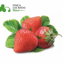 Frutillas Baby FINCA LAS BAYAS 1000g