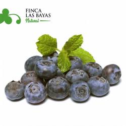 Arandanos Finca Las Bayas 1000 Grs