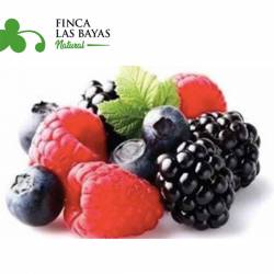 Mix de Frutos Rojos FINCA LAS BAYAS 1000g