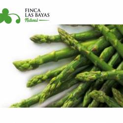 Espárragos FINCA LAS BAYAS 1000g